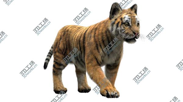 images/goods_img/20210312/TigerBaby Fur 3D model/3.jpg